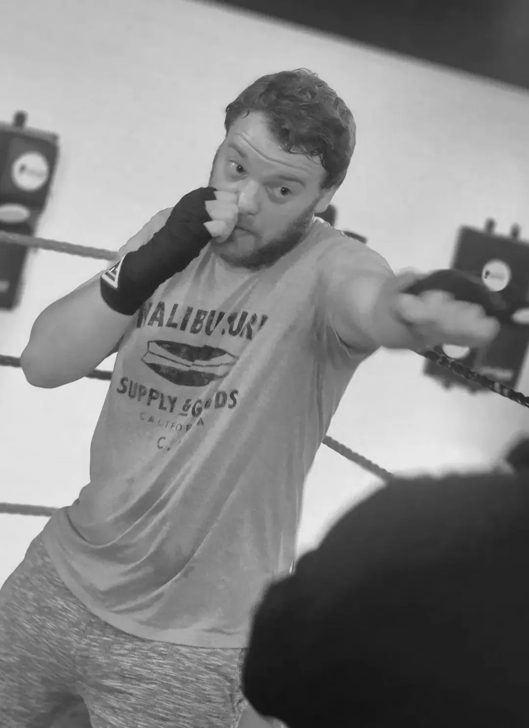 undisputed-boxing
